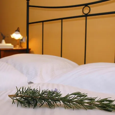 Stancija Kovacici B&B